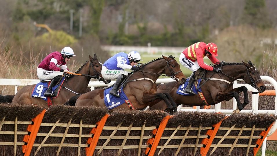 Irish race horses jump a fence
